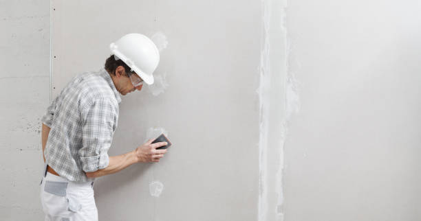 Best Drywall Installation  in Loma Linda, CA